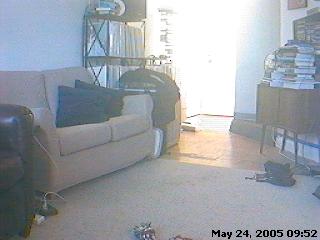 noodle cam